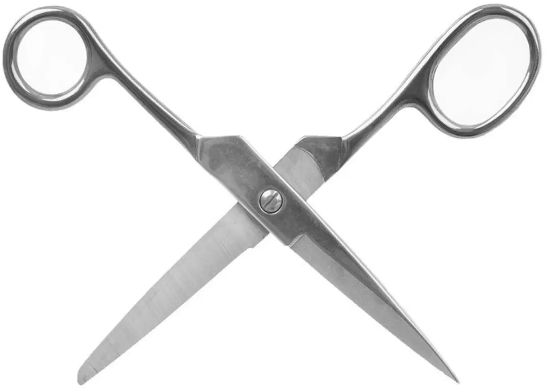 Orion Universele RVS Schaar 17cm - Zilver