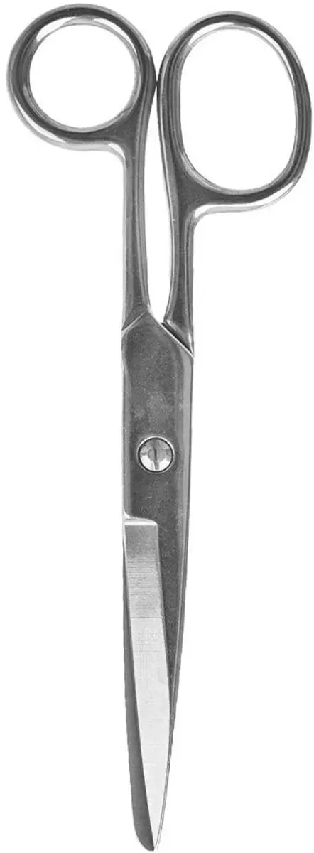 Orion Universele RVS Schaar 17cm