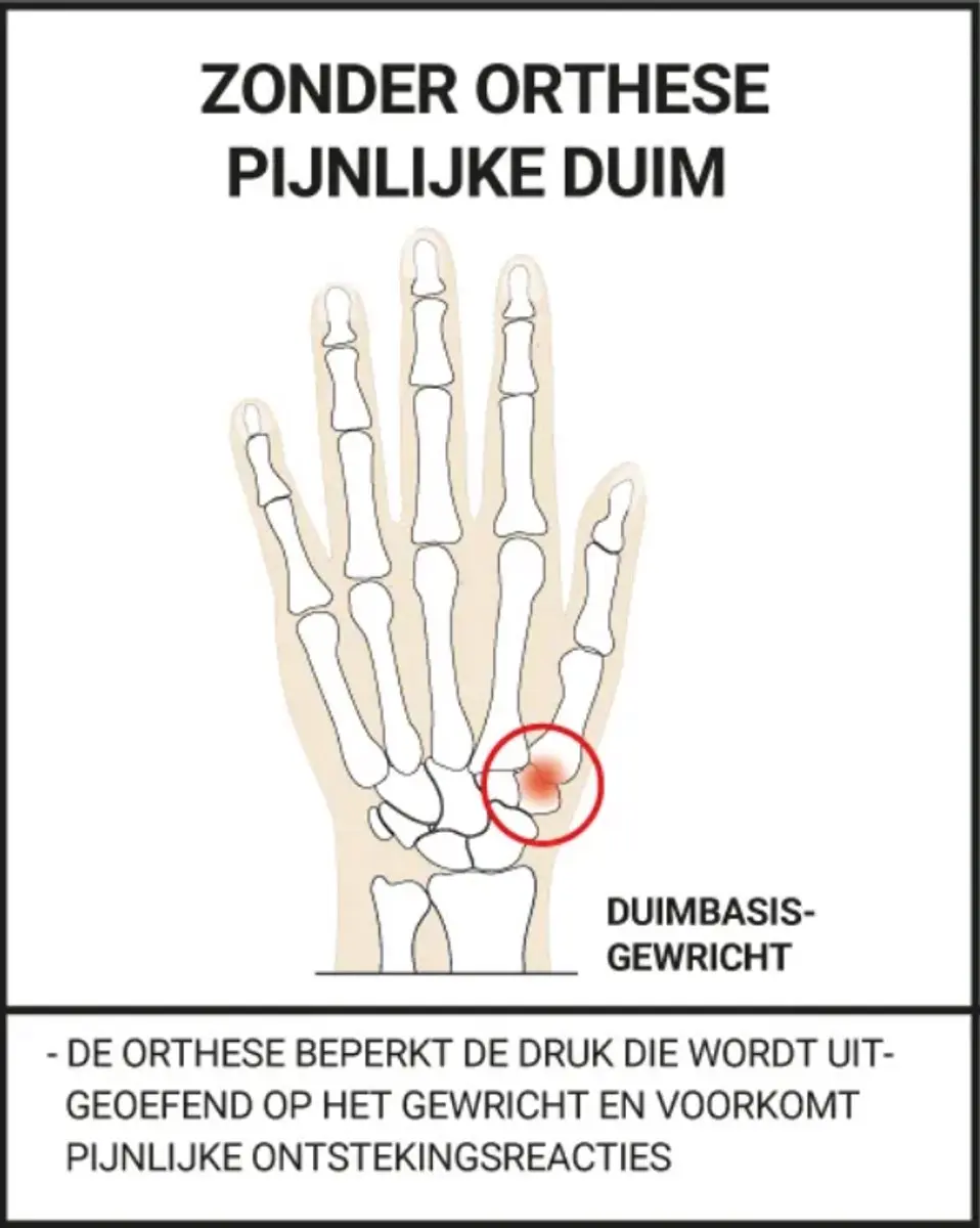 Epitact Duimorthese Dag Rechts M - Flexibele Ondersteuning - afbeelding 6 van 6