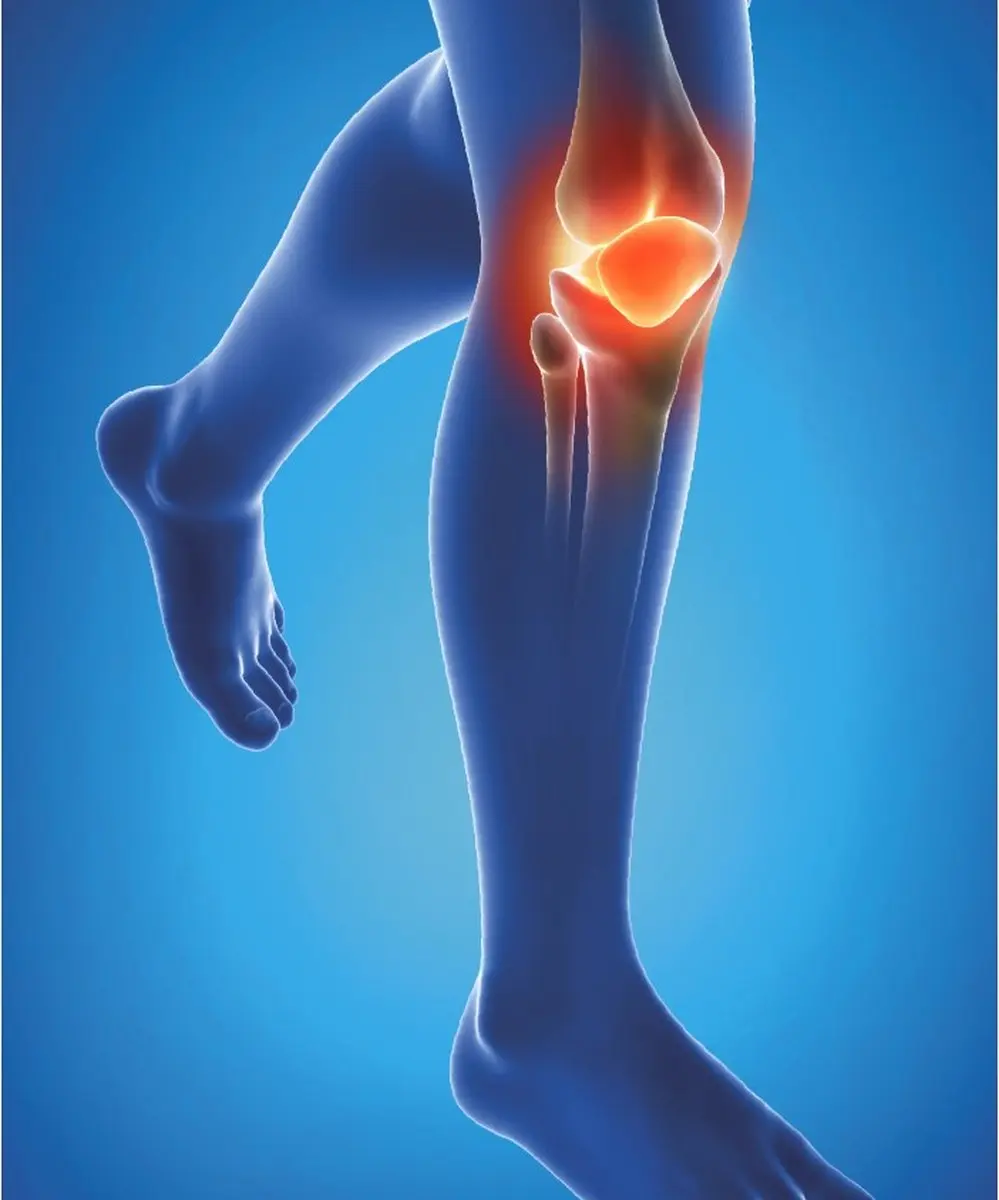 Epitact PhysioStrap Medical Kniebrace M - 1 Stuk