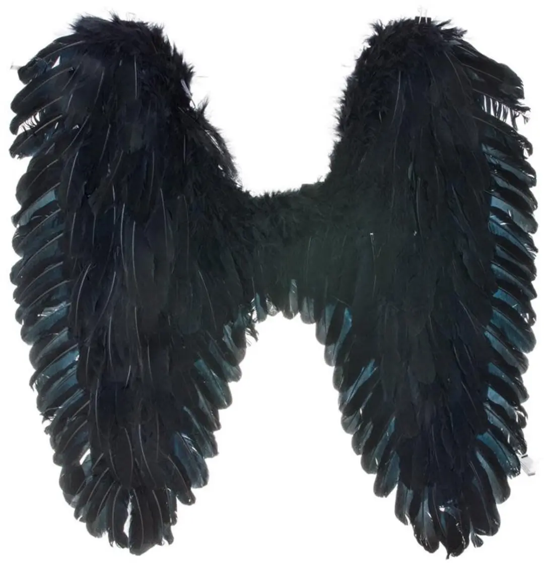 Espa Vleugels Zwart Darkness 70x65cm