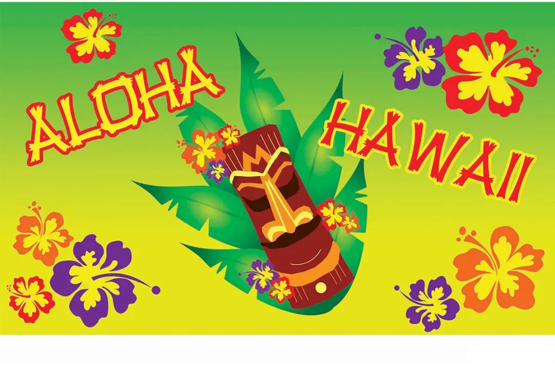 Vlag Aloha 90x150cm