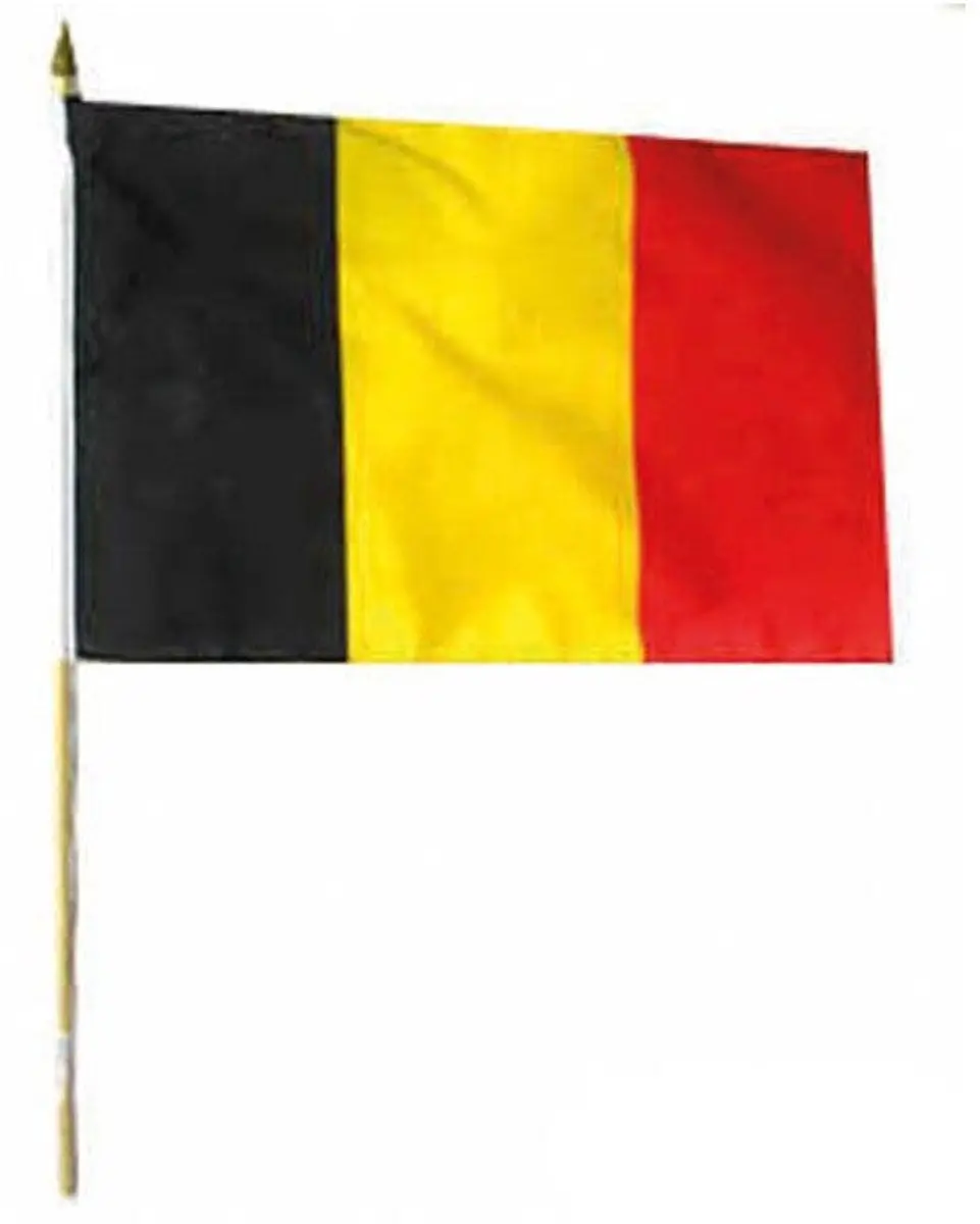 Espa België Vlag 30x45cm - Zwart