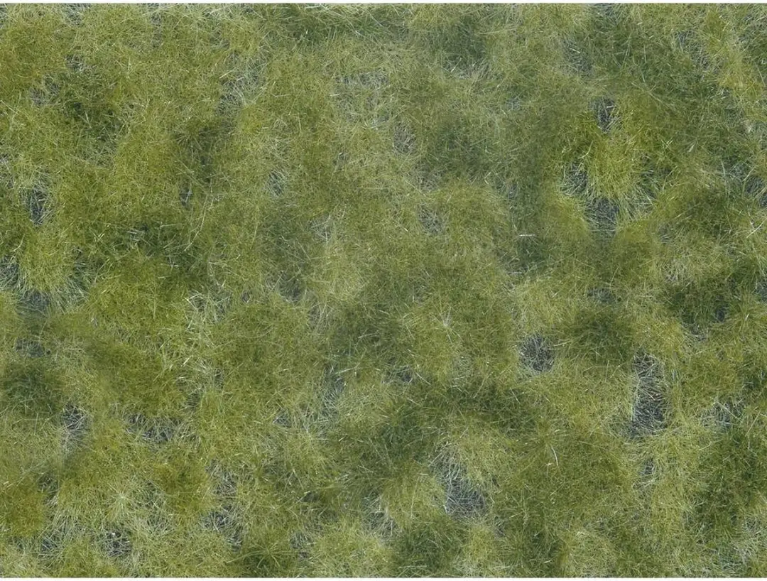 Noch 07250 Landschap Bodembedekker Groen