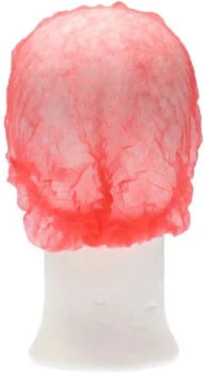 CMT Wegwerp Haarnetjes 300 Stuks - Rood - Clip Caps