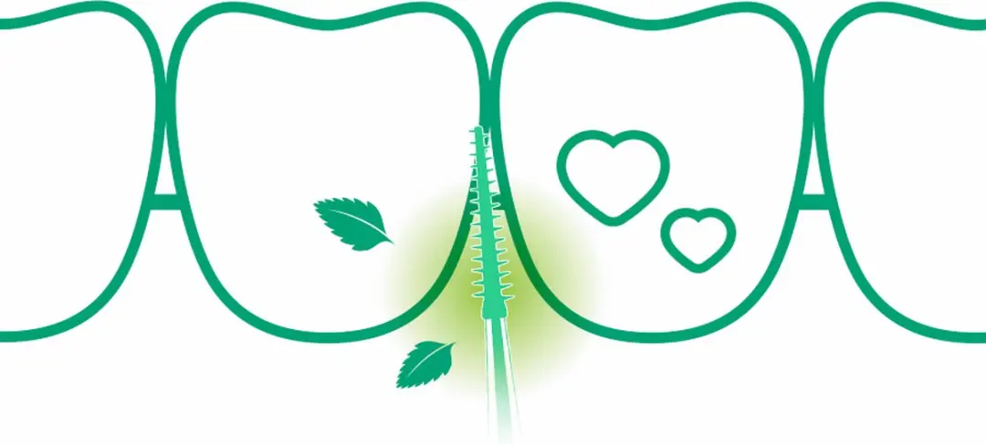 Gum Soft-Picks Minty Medium - 40 Stuks