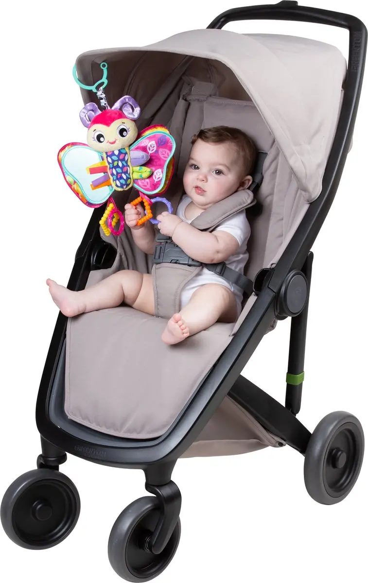Playgro Activity Friend Blossom Butterfly - Roze