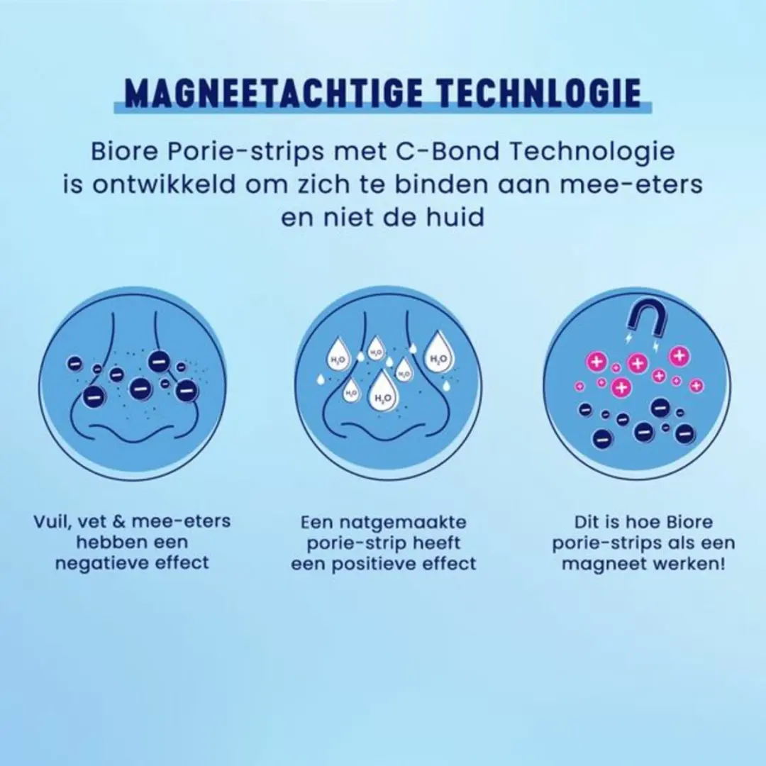 Biore Houtskool Neusstrips - 6 Stuks