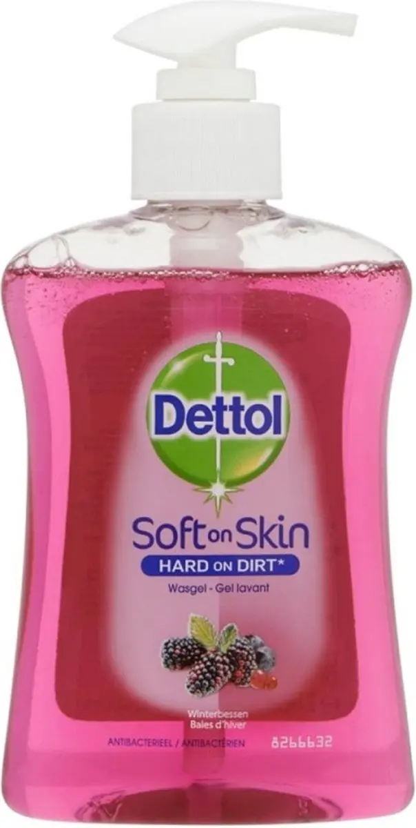 Dettol Handzeep Winterbessen