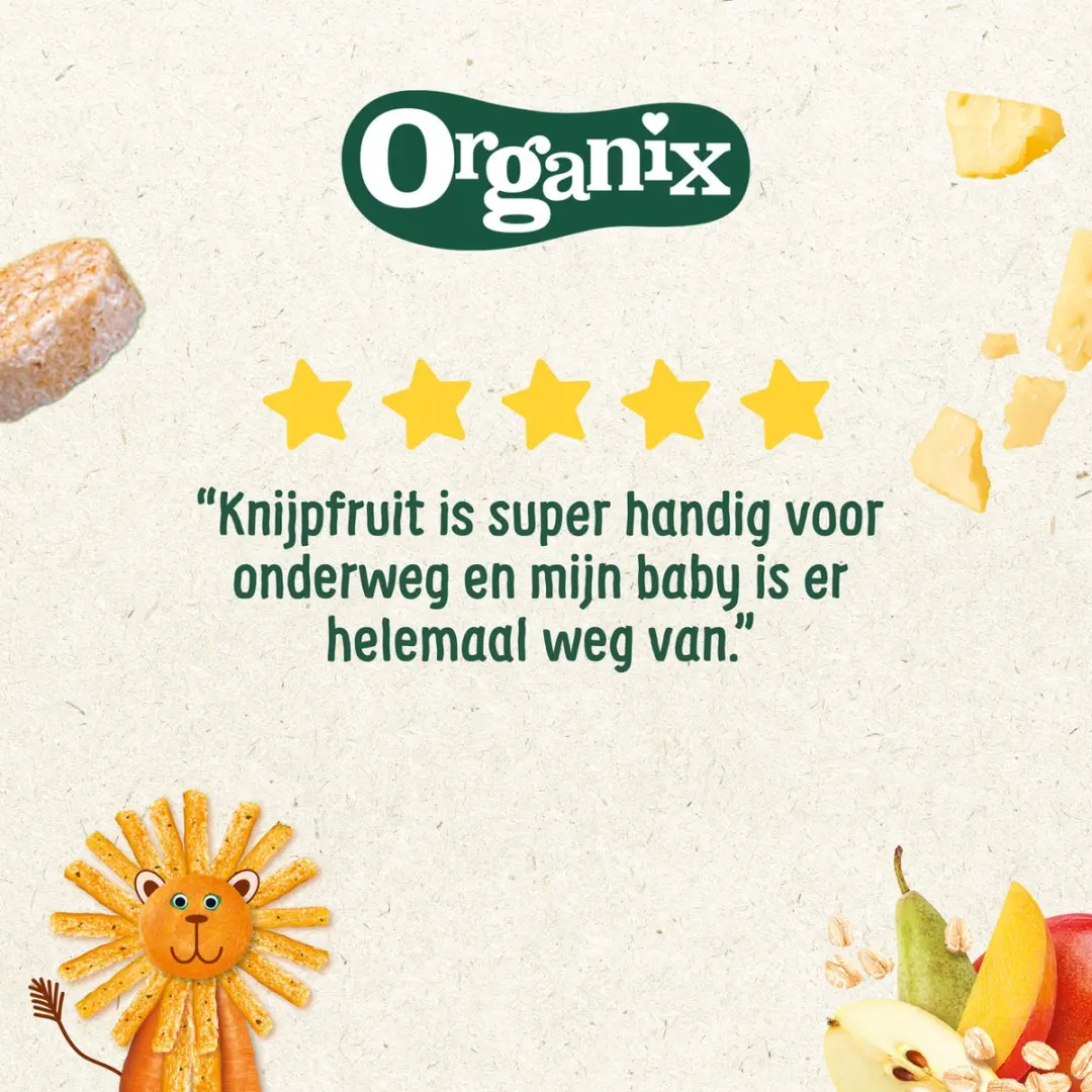 Organix Knijpfruit Box 6+ Maanden - 24 Stuks
