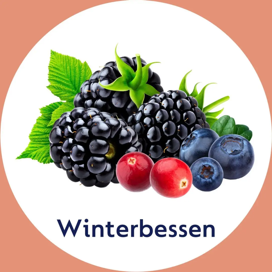 Dettol Handzeep Winterbessen 1.5L - 6 Stuks