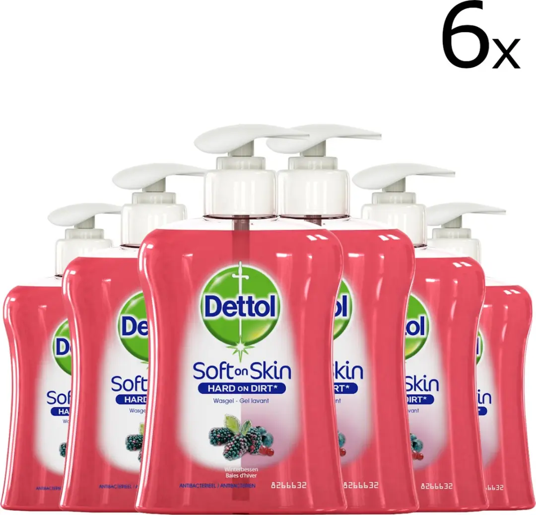 Dettol Handzeep Winterbessen 1.5L
