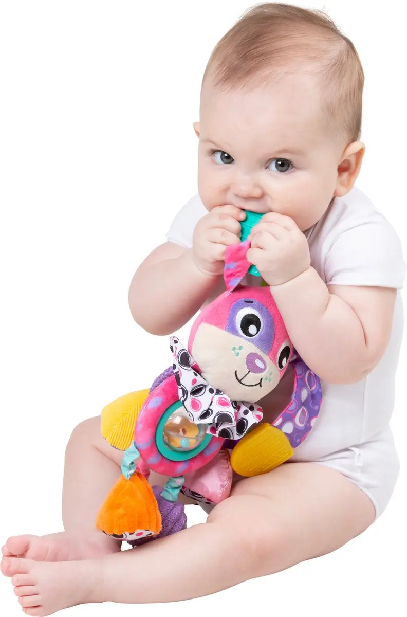 Playgro Activity Friend Dixie Dog Roze