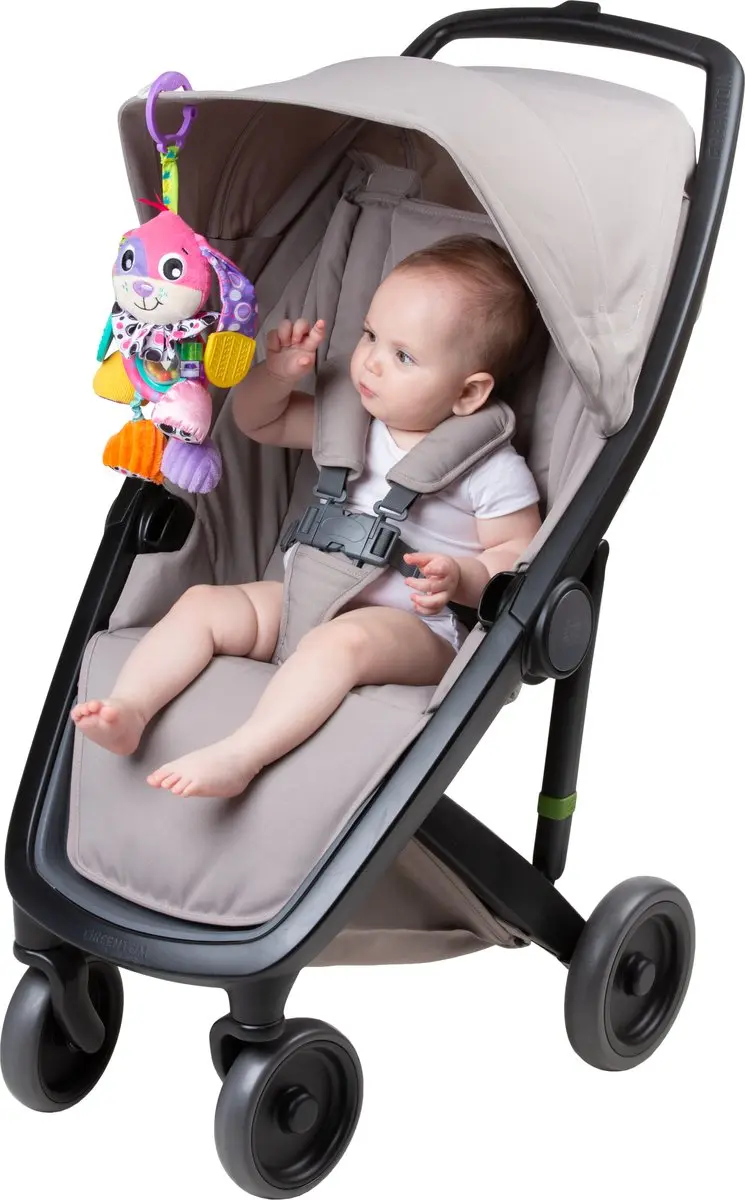 Playgro Activity Friend Dixie Dog Roze