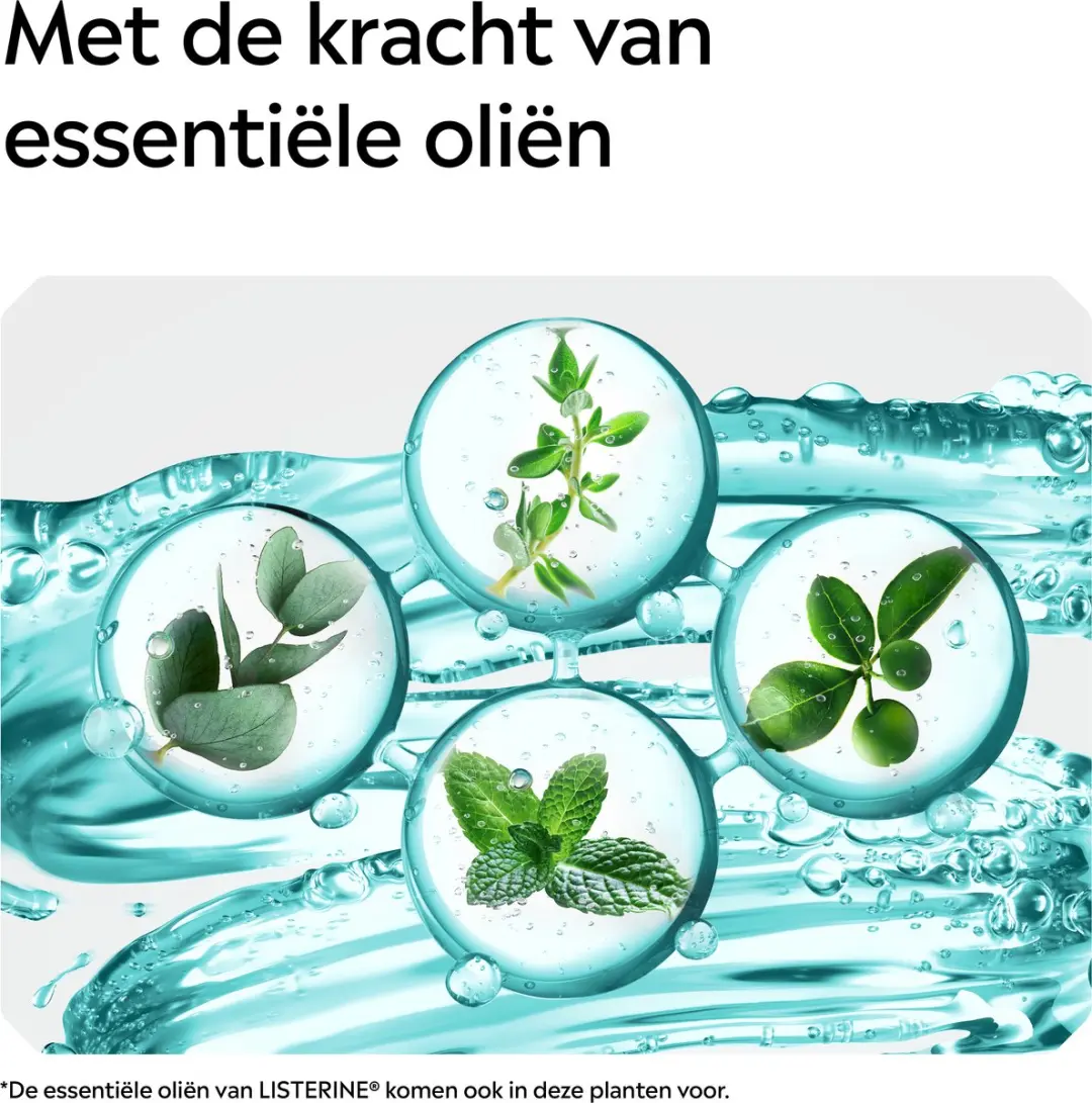 Listerine Cool Mint Mild Mondspoeling 1L