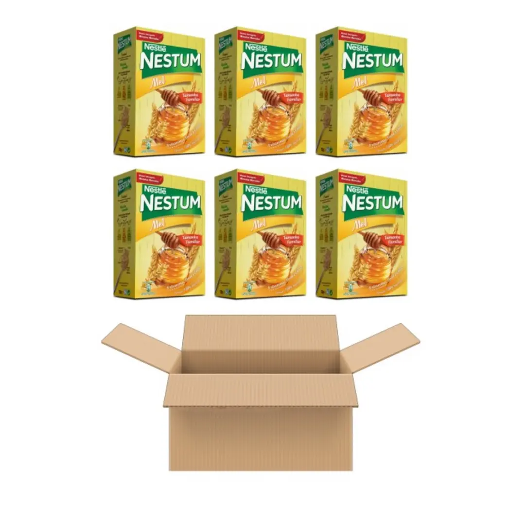 Nestlé Nestum Mel Honing 6x600g