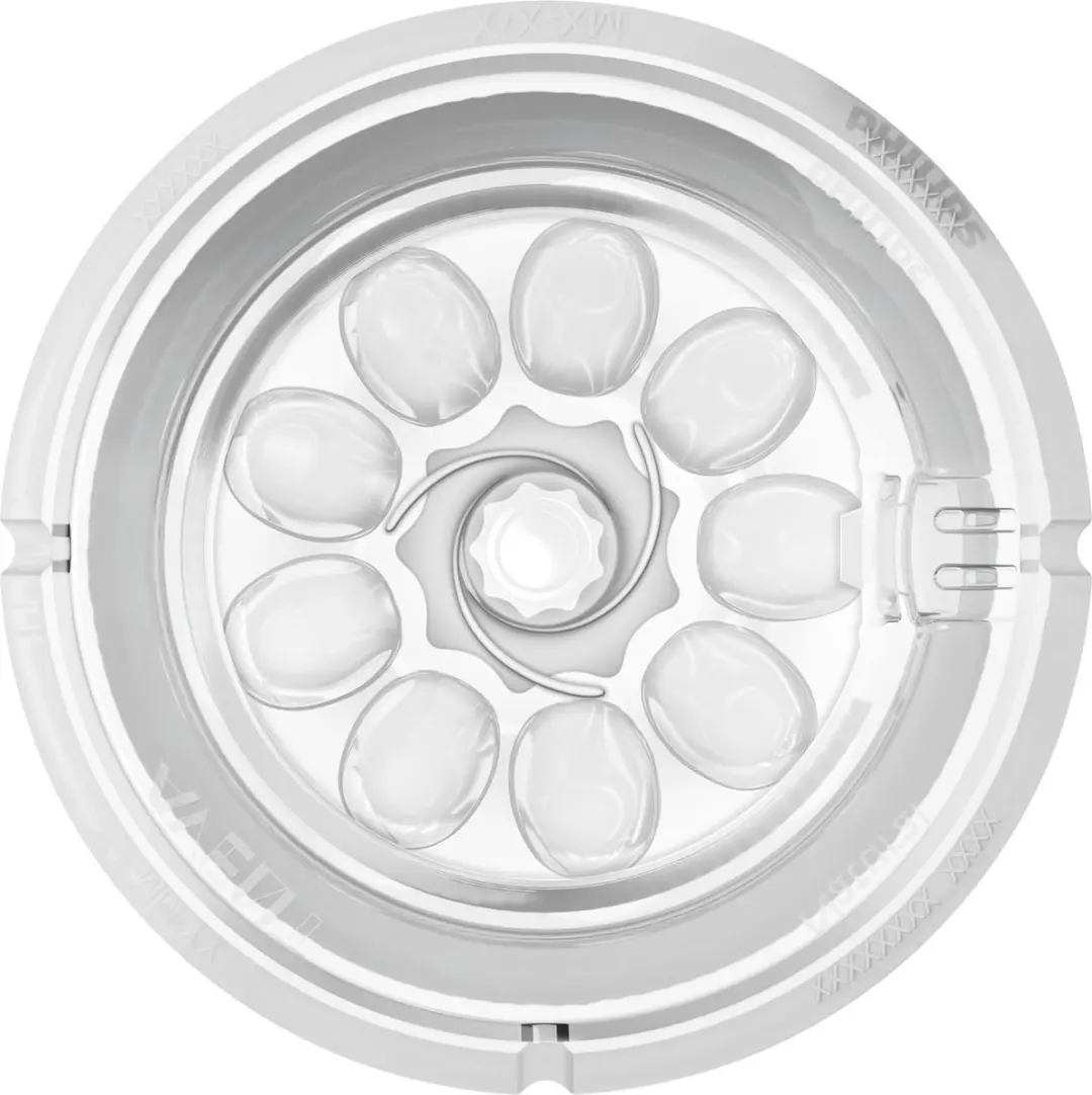 Philips Avent SCF043/27 Speen 3m+ - 2 Stuks - Multicolor