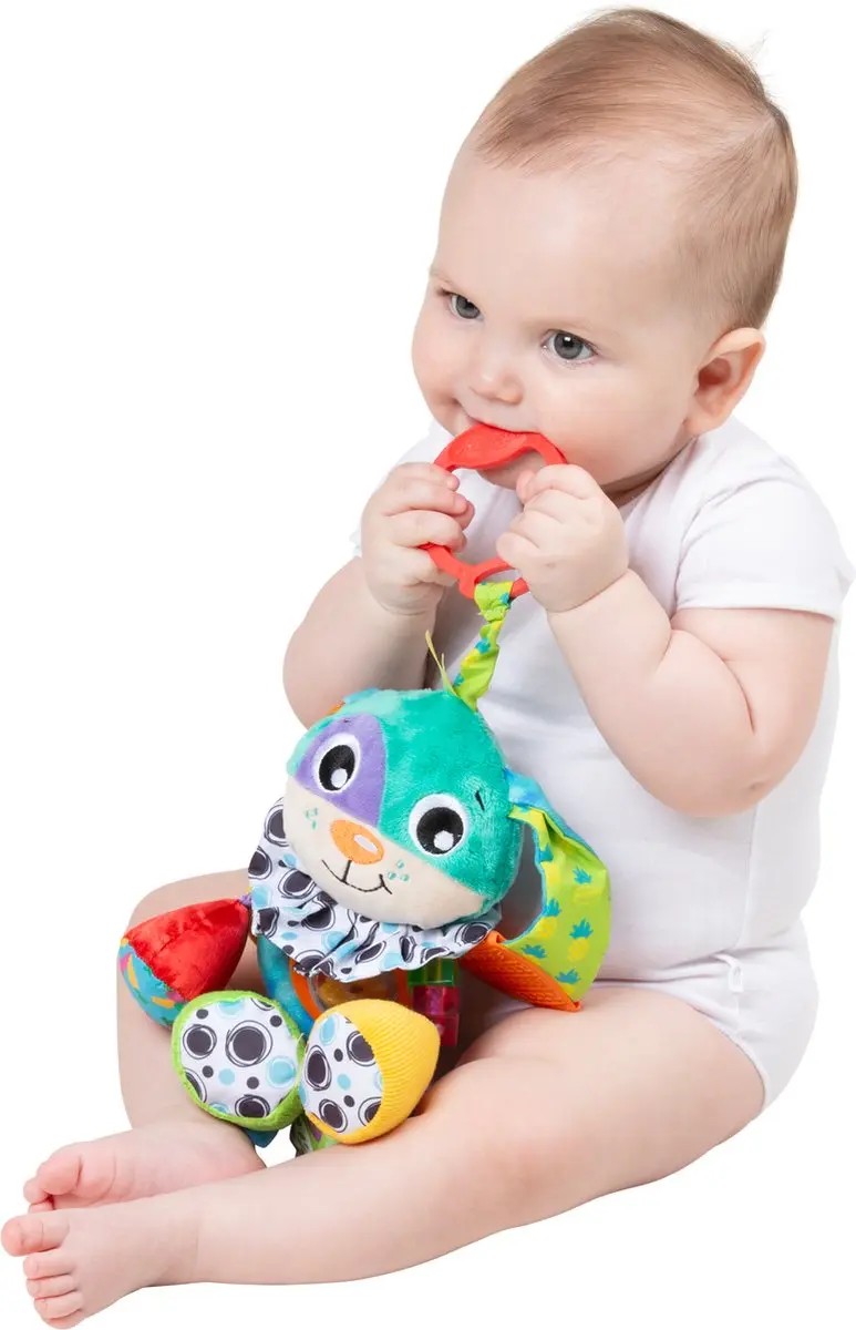 Playgro Activity Friend Doofy Dog Hangspeeltje - Blauw