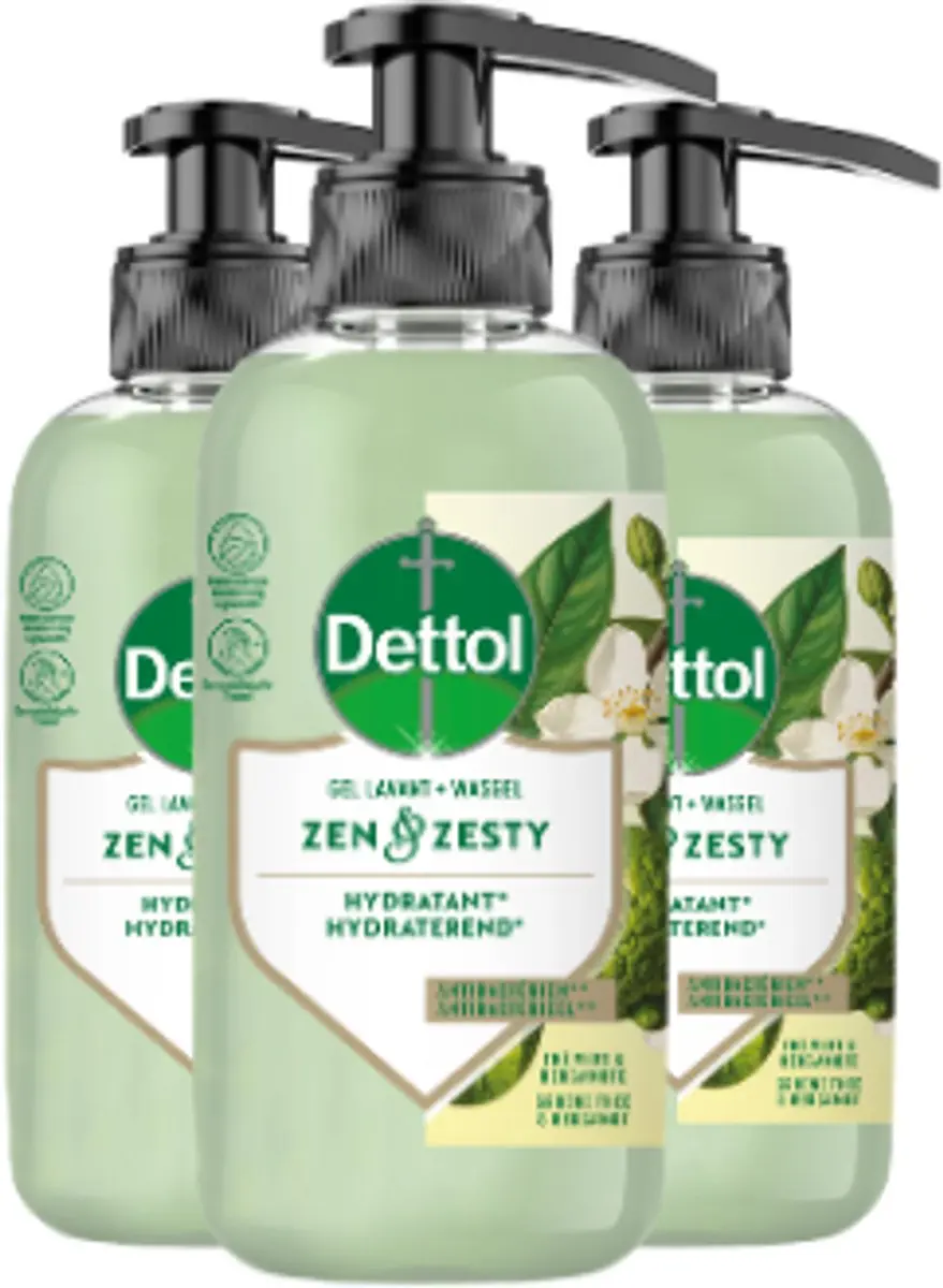 Dettol Zen & Zesty Antibacterieel Handzeep 300ml