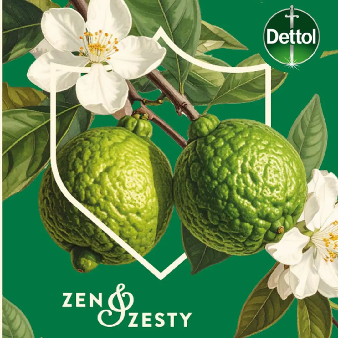 Dettol Zen & Zesty Antibacterieel Handzeep 300ml - 3 Stuks