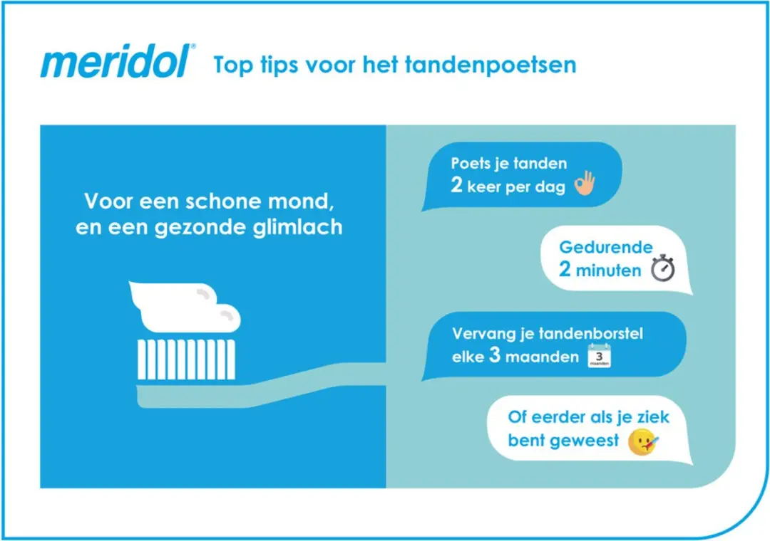 Meridol Tandvleesbescherming Tandenborstels - 6 Stuks - afbeelding 6 van 6