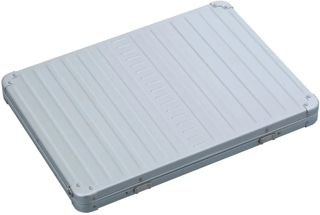 Aleon Laptophoes AC-4204-PL