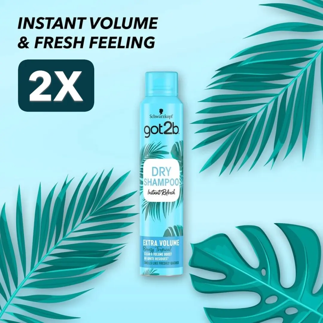 Got2B Fresh&Fabulous Droogshampoo 400ml