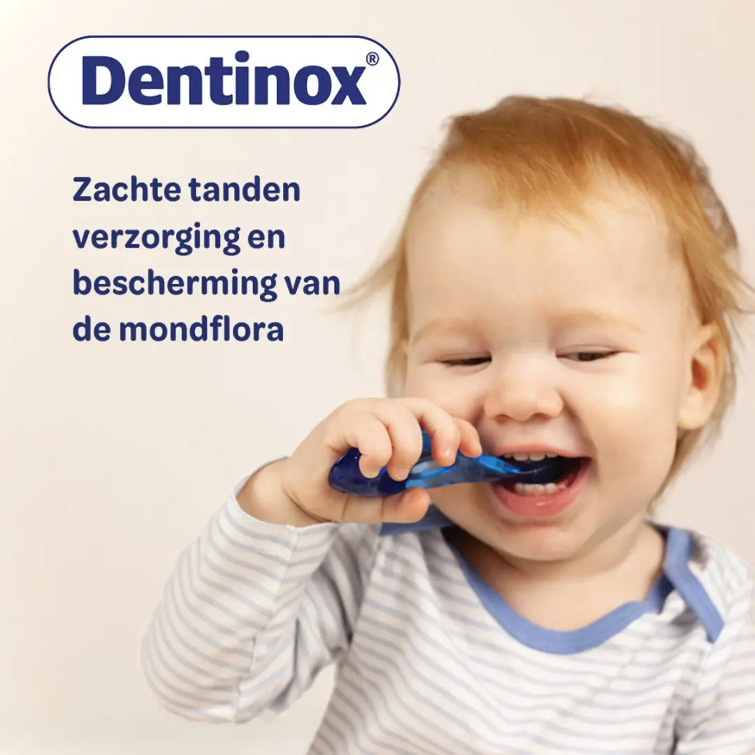Dentinox Gel Tandenverzorging 10g - Kamillesmaak