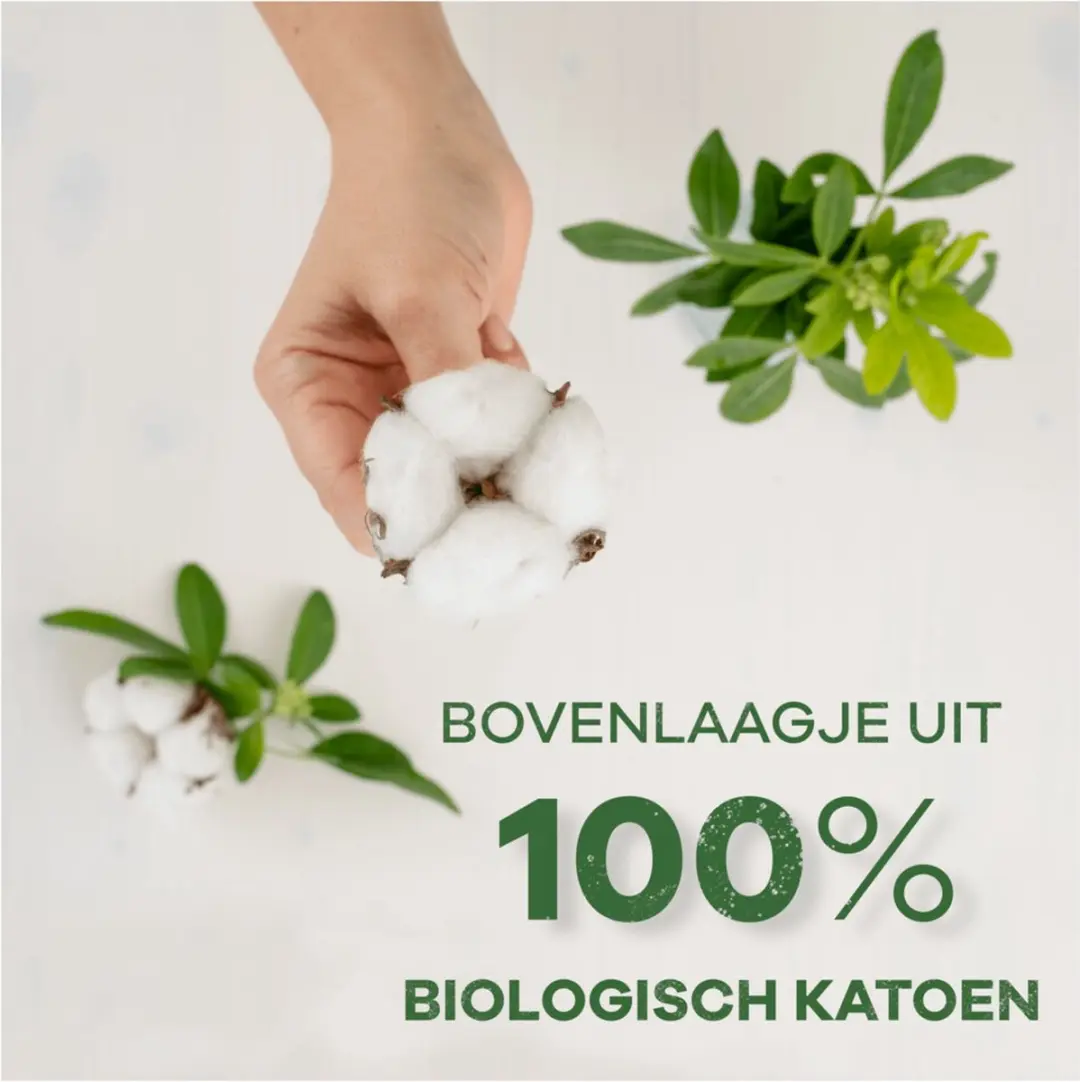 Always Daily Cotton Protection Inlegkruisjes 38 Stuks