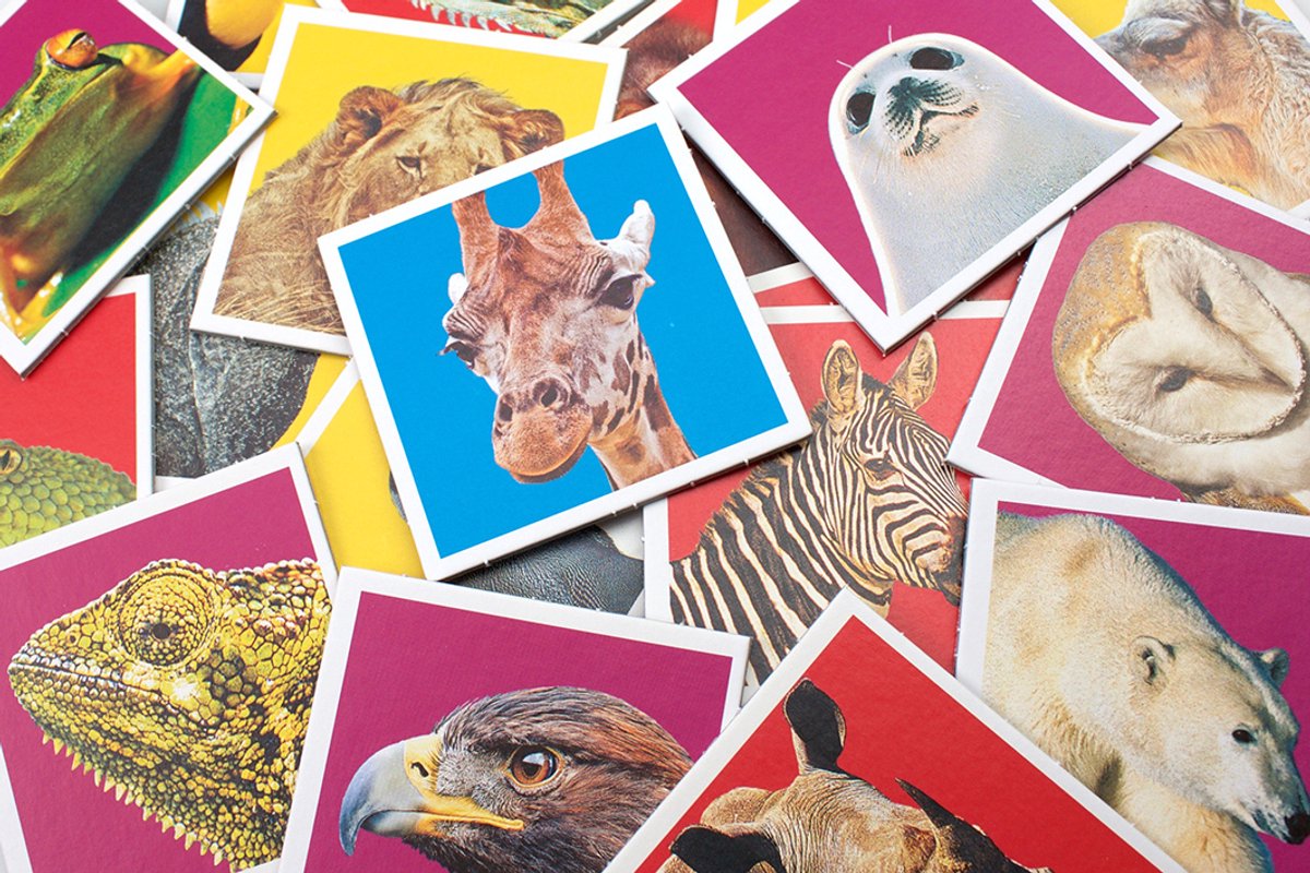 Tactic Memory - Kaartspel - Memo - Wildlife