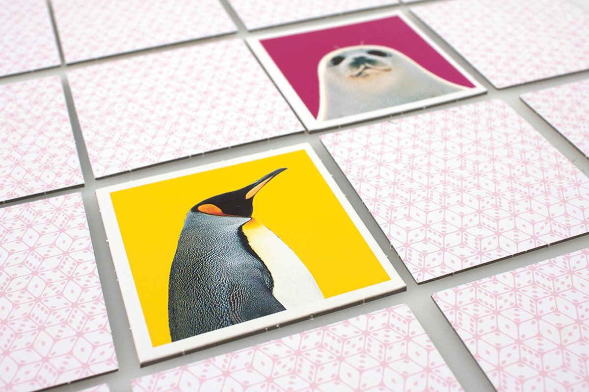 Tactic Memory - Kaartspel - Memo - Wildlife