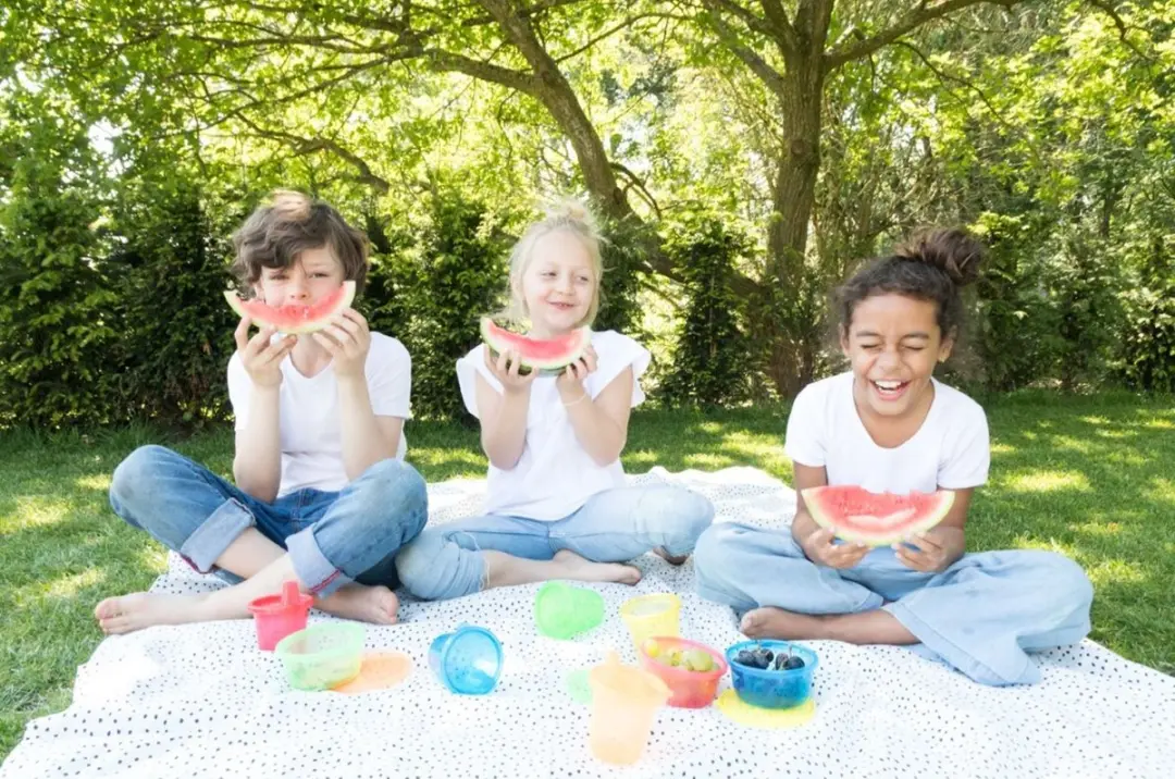 Nûby Lunchboxset 6x300ml - Geel/Blauw/Groen/Rood/Oranje