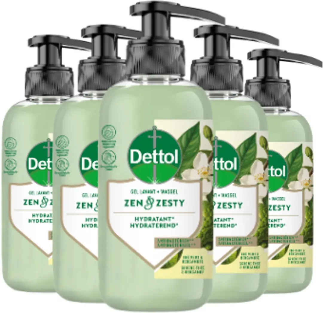 Dettol Zen & Zesty Antibacterieel Handzeep 300ml