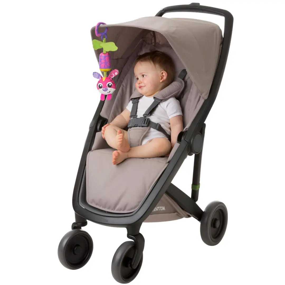 Playgro Cheeky Chime Sunny Bunny Hangspeeltje - Roze