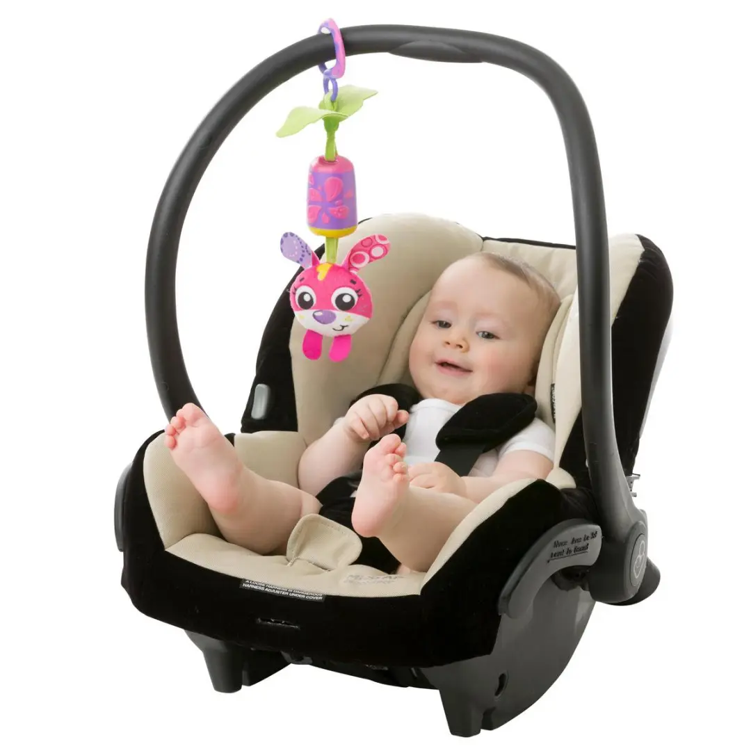 Playgro Cheeky Chime Sunny Bunny Hangspeeltje - Roze