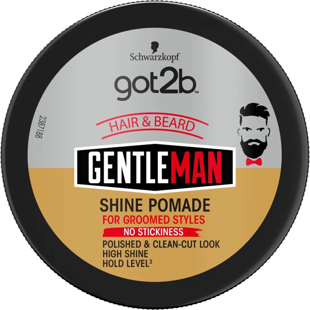Got2B Gentleman Shine Pomade 100ml
