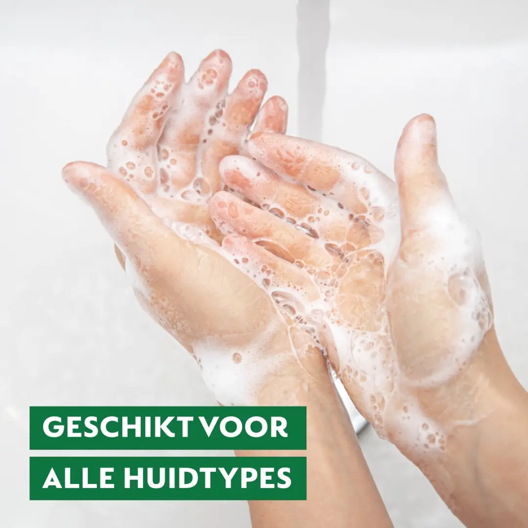 Dettol Handzeep Antibacterieel 300ml - Floral & Fruity