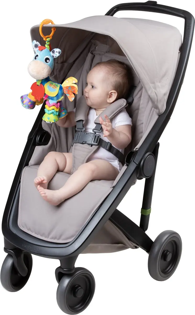 Playgro Activiteiten Vriend Clip Clop - Multi