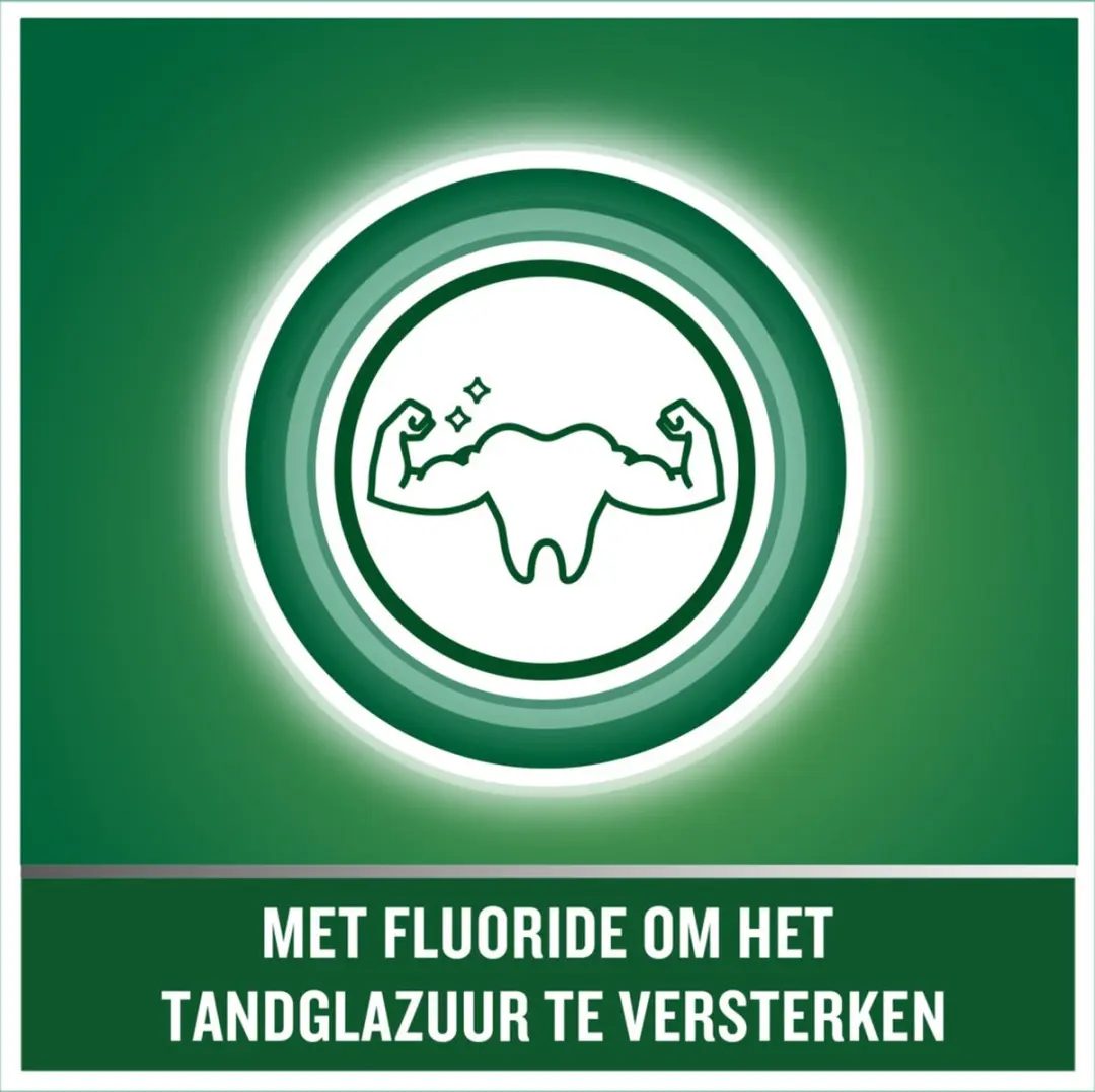 Listerine Mondwater Tand & Tandvlees Bescherming 500ml - 3 Stuks