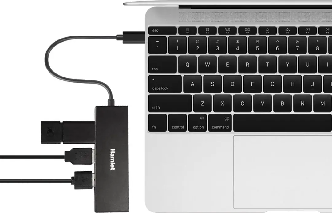 Hamlet XHUB4031TC Interface Hub USB 3.2 Gen 2 - Zwart