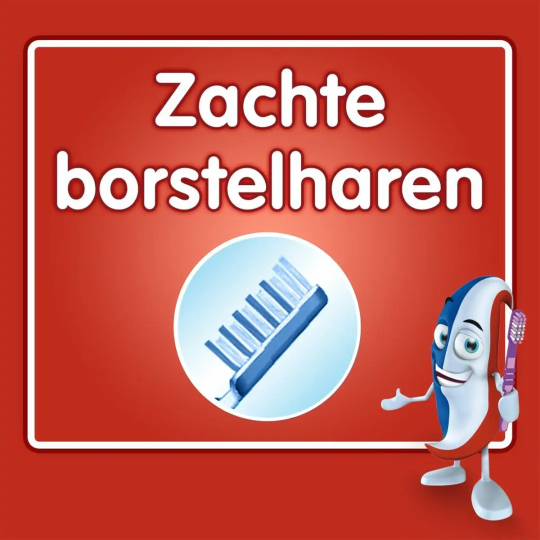 Aquafresh Junior Teeth Tandenborstel - 12 Stuks Blauw/Groen
