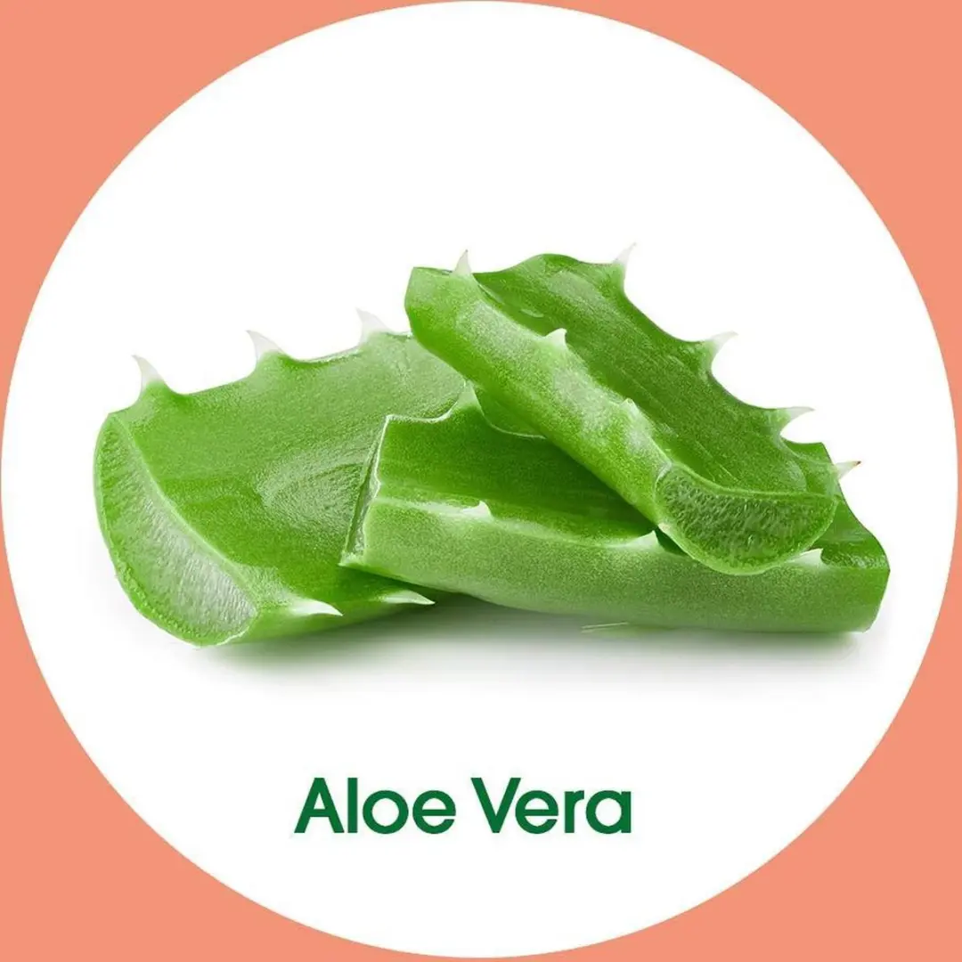 Dettol Handzeep Aloe Vera 250ml - 3 Stuks
