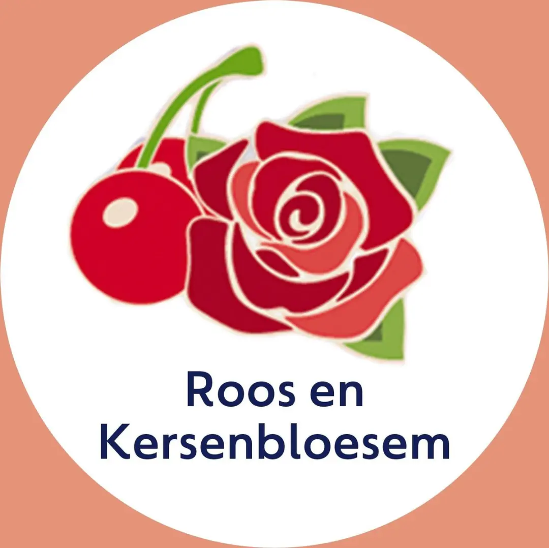 Dettol Handzeep Zachte Mousse Roos & Kersenbloesem - 250ml x12