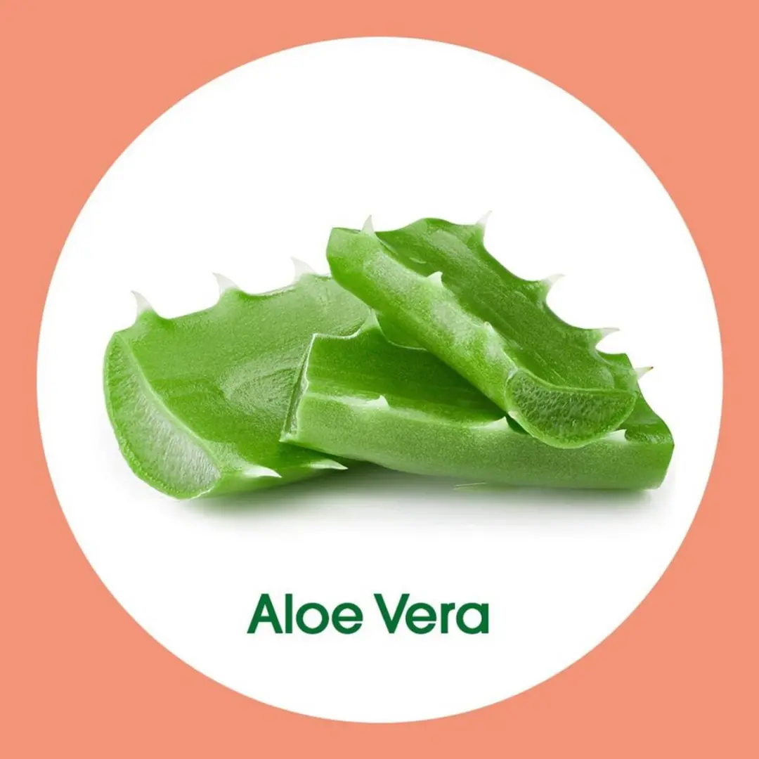 Dettol Handzeep Navulling Aloë Vera 250ml