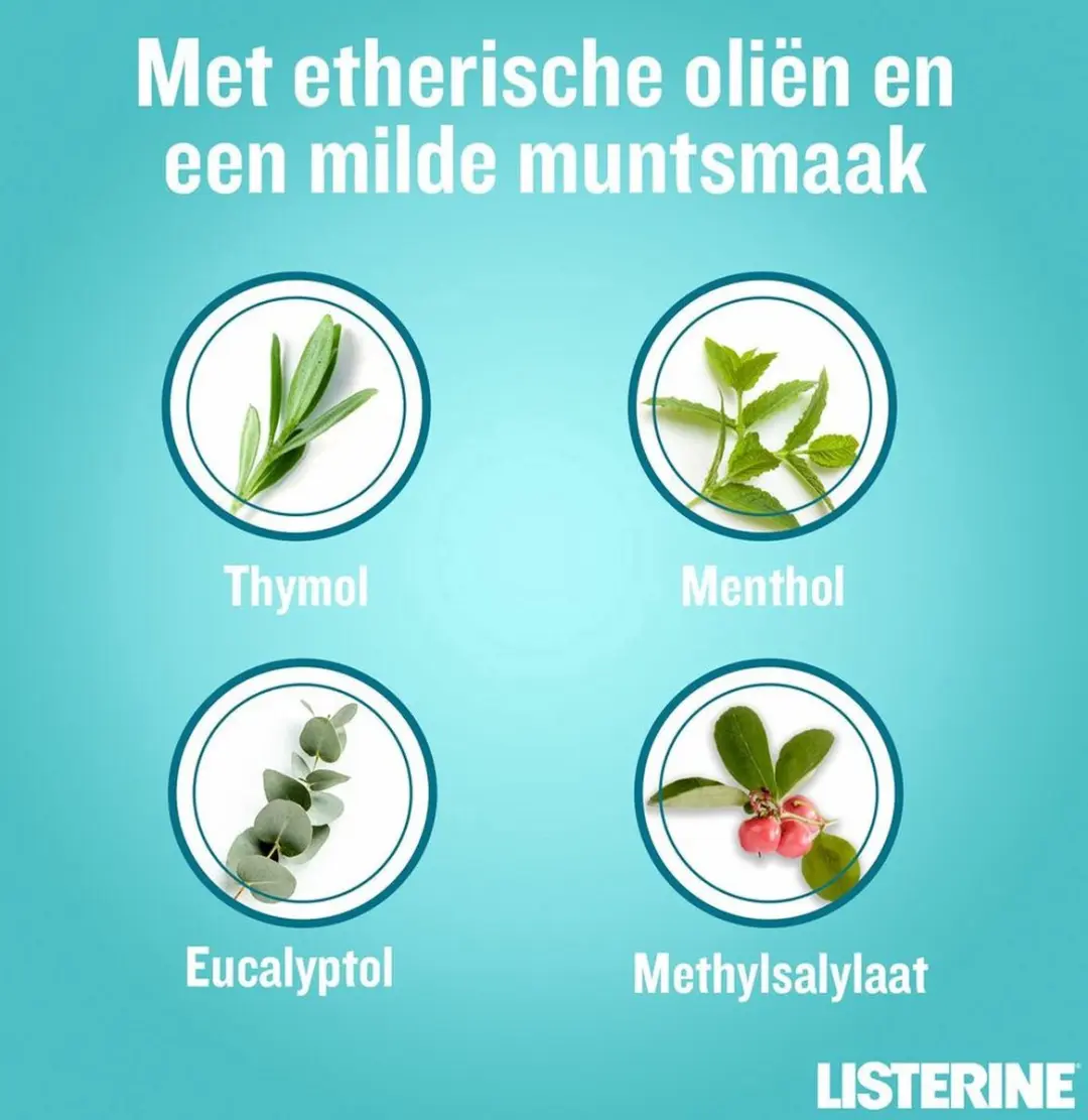 Listerine Coolmint Mondwater - 6x500ml