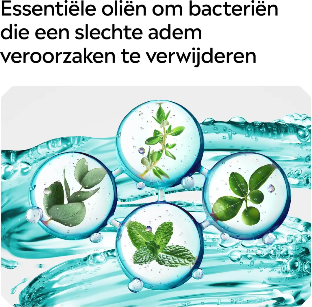 Listerine Cool Mint Mondspoeling 3x500ml - afbeelding 6 van 6