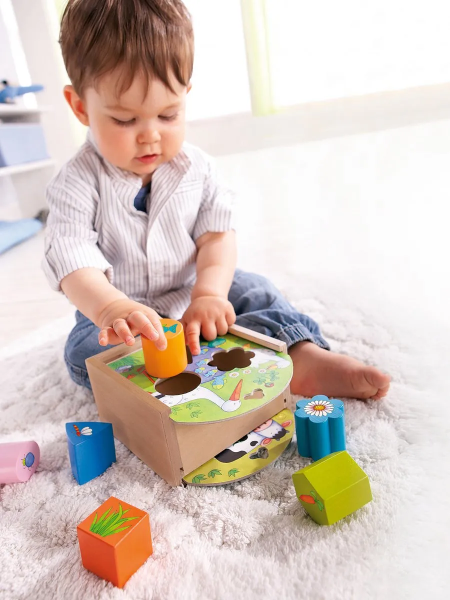 Haba Sorteerbox Peuterspeelgoed 2389 - Multicolor