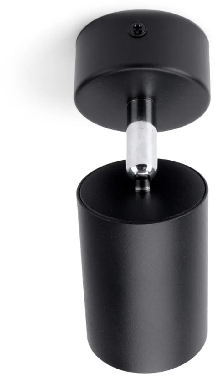 Integral Plafondspot Siena Mat Zwart - 2x GU10