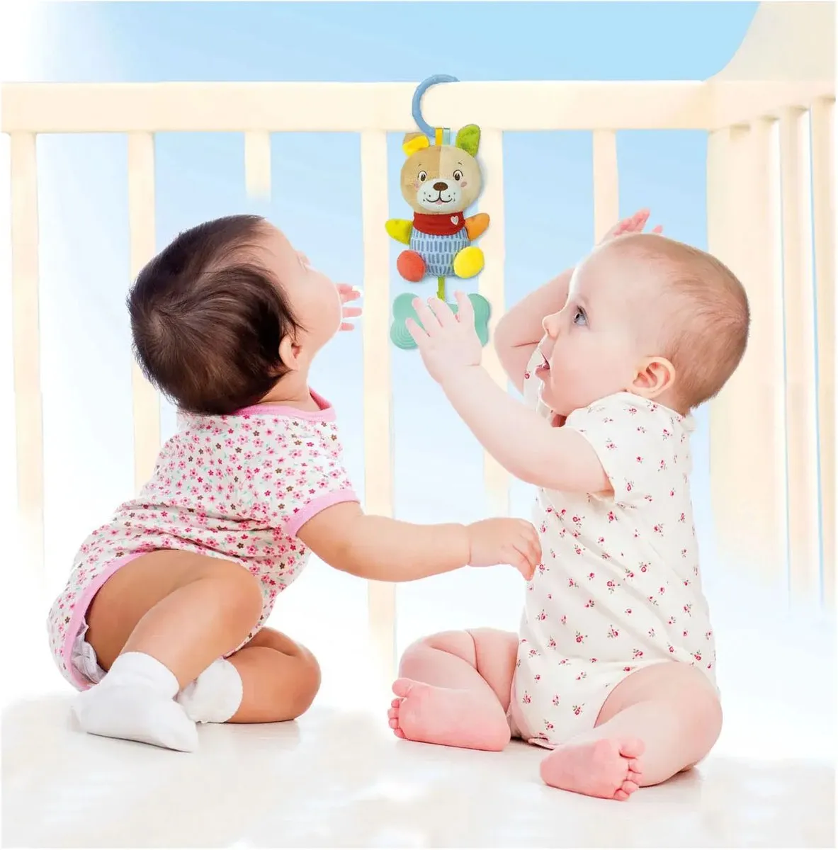 Clementoni Baby Rammelaar Hond Multicolor