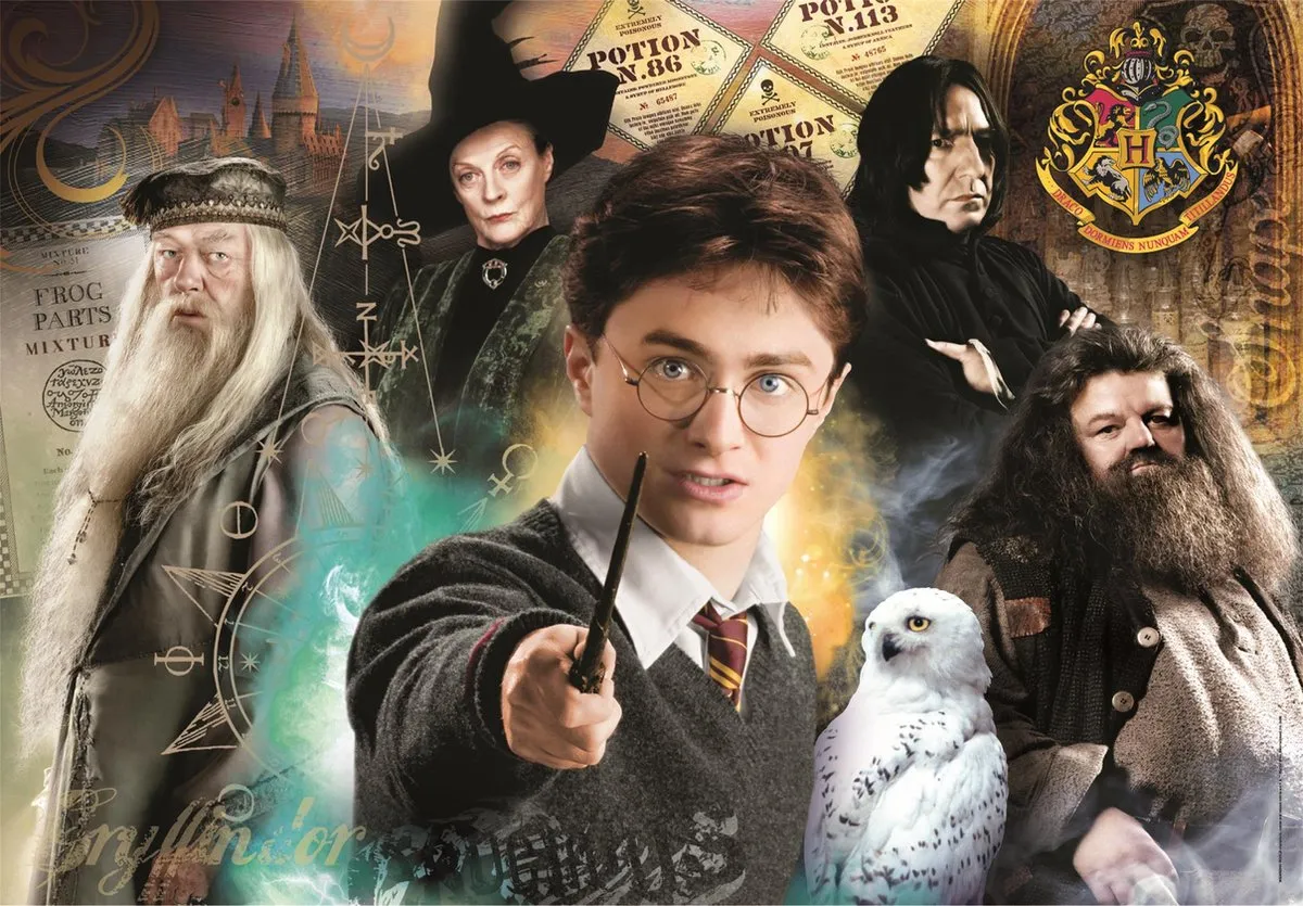 Clementoni Harry Potter Puzzel 500 Stukjes Multicolor